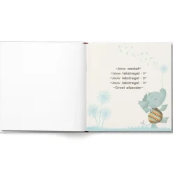 Babyboek 