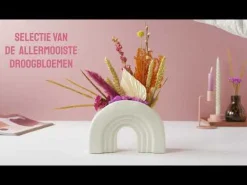 Bloomposy met Ontzettend bedankt Primera Keuze Cadeaukaart