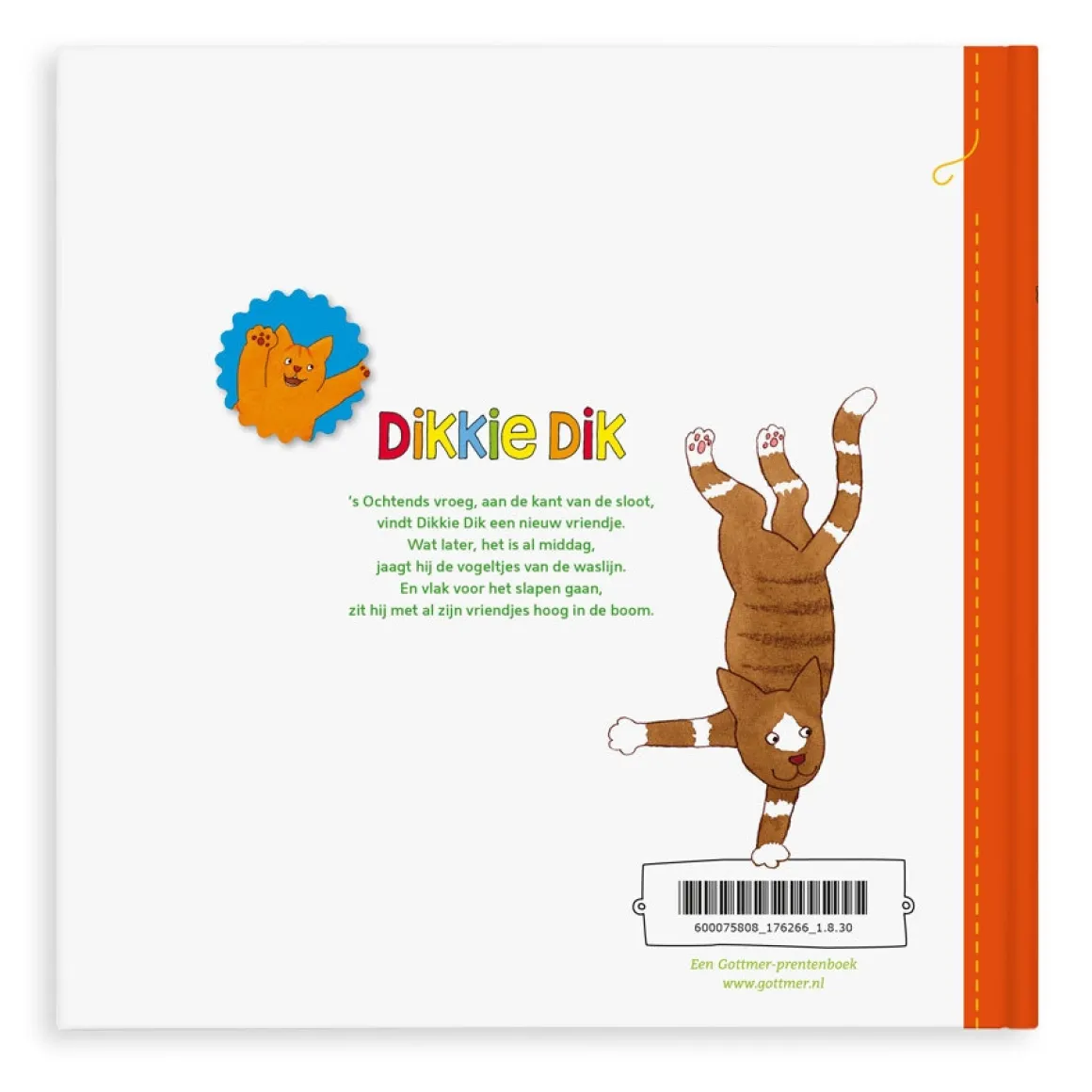Boek met naam - Dikkie Dik - Hoera voor jou!