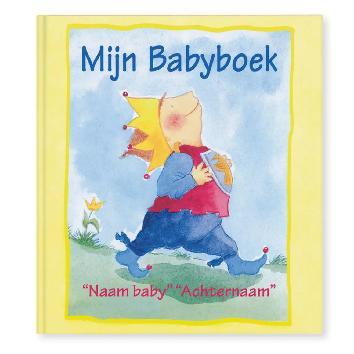 Boek met naam - Mijn Babyboek