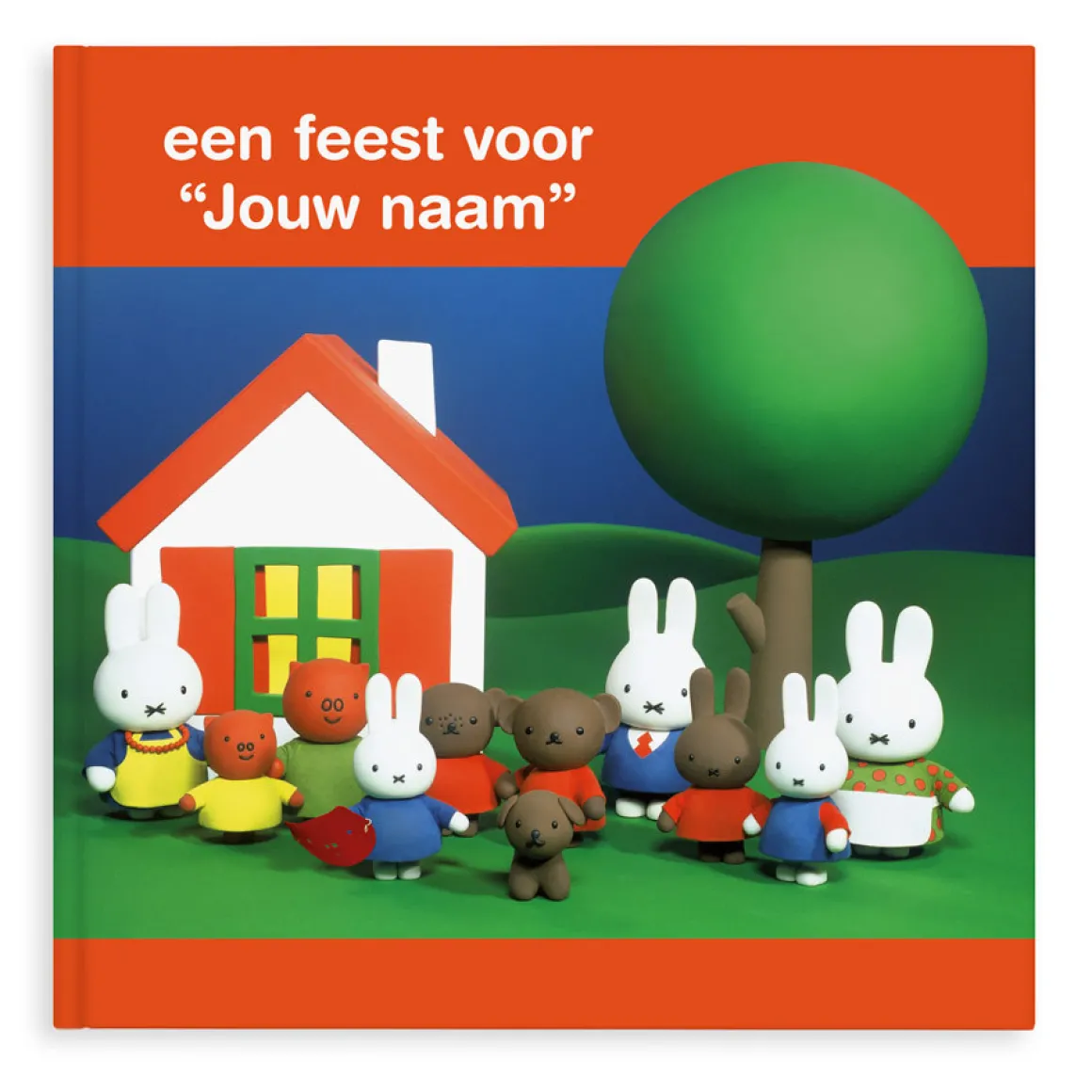 Boek "nijntje een feestje" met naam