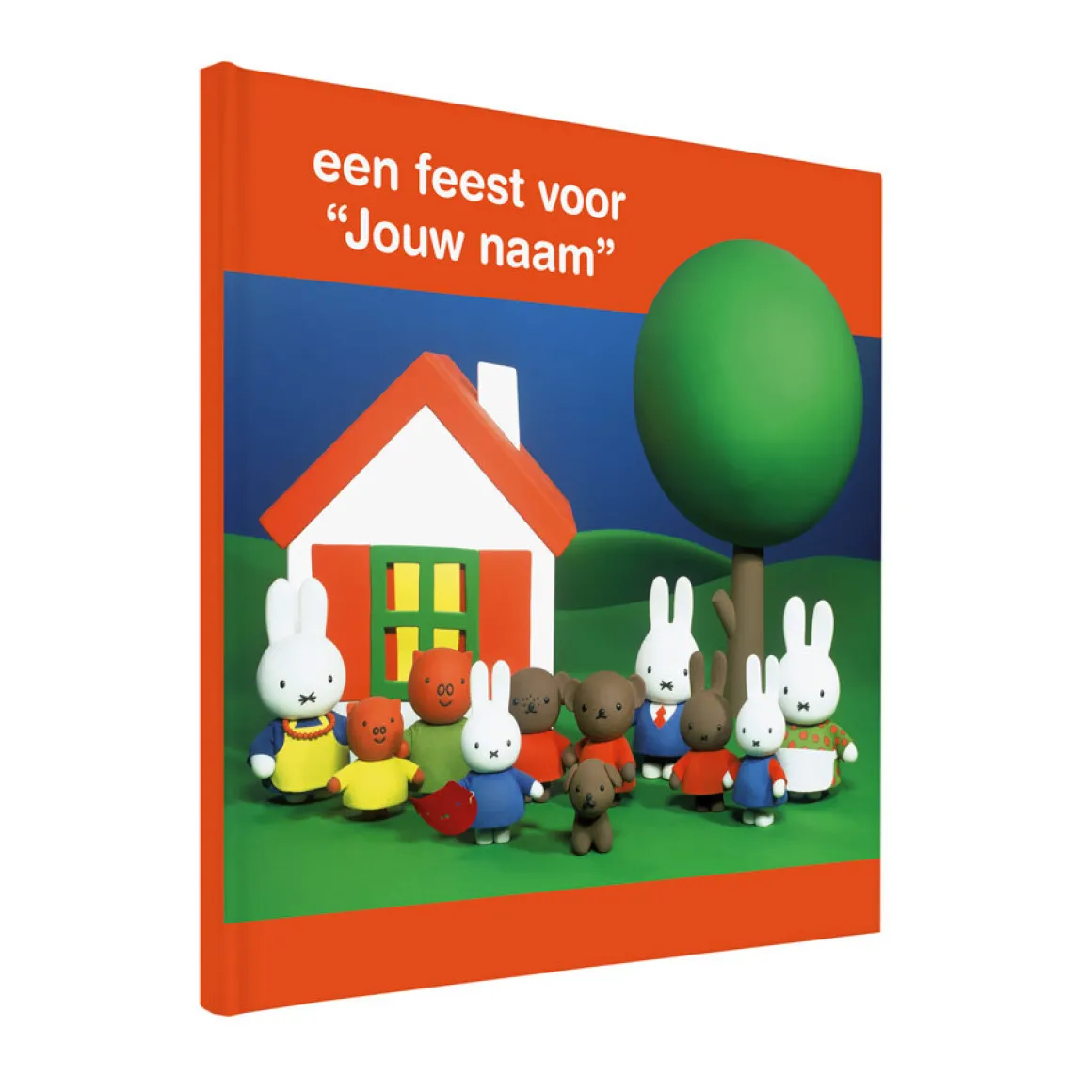 Boek "nijntje een feestje" met naam