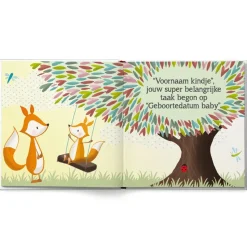 Boek