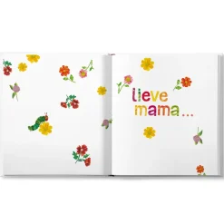 Boek