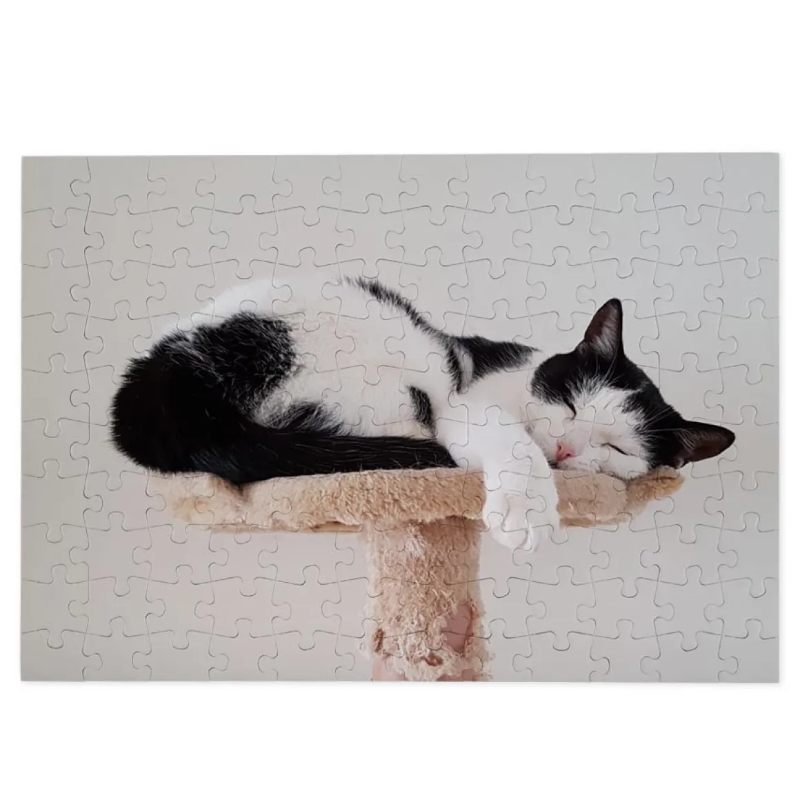 Puzzel met foto groot