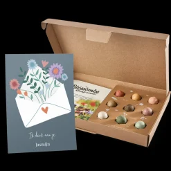 Zaadbommetjes cadeau