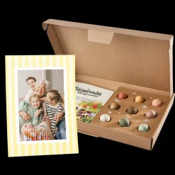 Zaadbommetjes cadeau