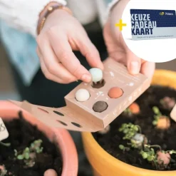 Zaaibommetjes goud waard met Speciaal voor jou Primera Keuze Cadeaukaart