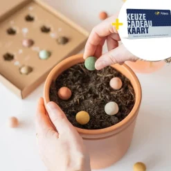Zaaibommetjes met Fijne Feestdagen Primera Keuze Cadeaukaart